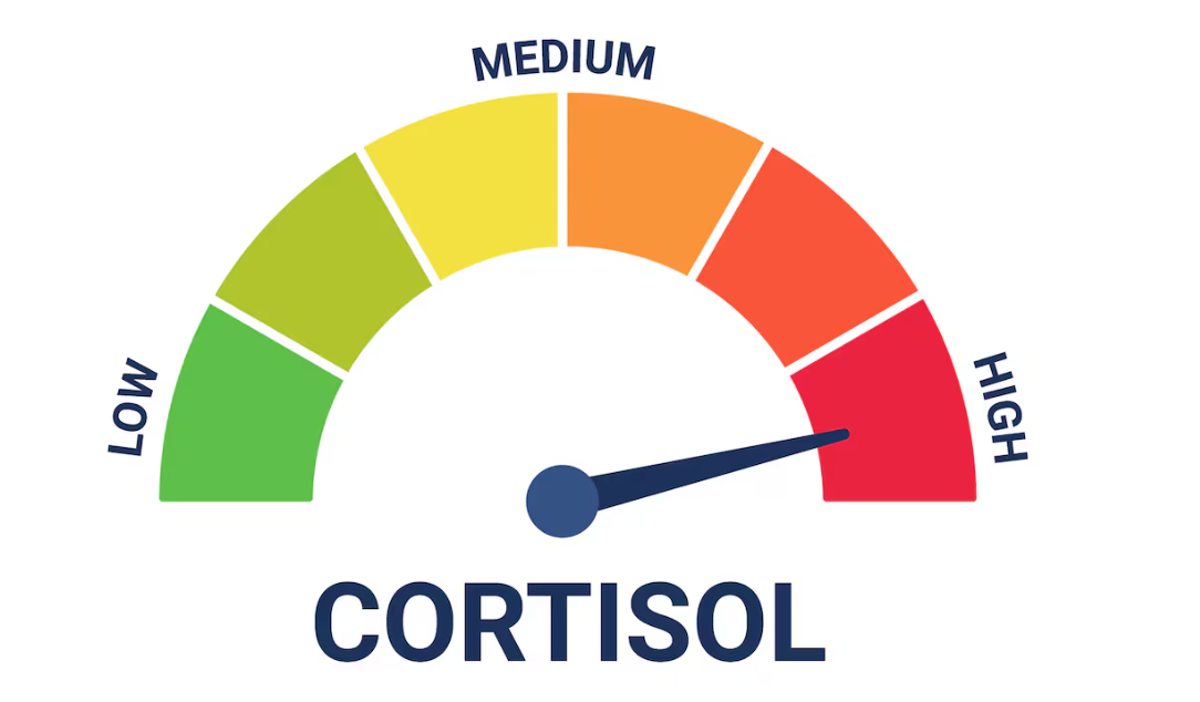 Marihuana y cortisol: ¿Estrés o relajación?